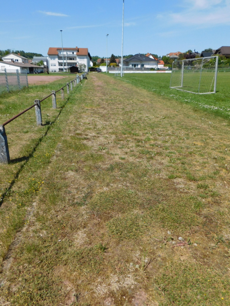 Alter TSG-Fußballplatz in der Jahnstraße vom 5. Mai 2018